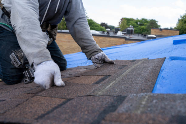 Best Storm Damage Roof Repair  in Trent Woods, NC
