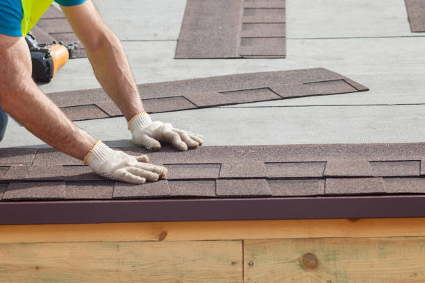 Best Solar Panel Roofing Installation  in Trent Woods, NC